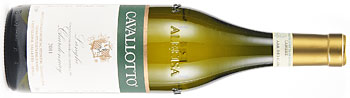 Cavallotto Langhe Chardonnay 2011