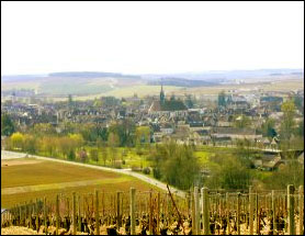 Droin Vineyards in Chablis, France