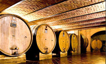 Cavallotto Winery