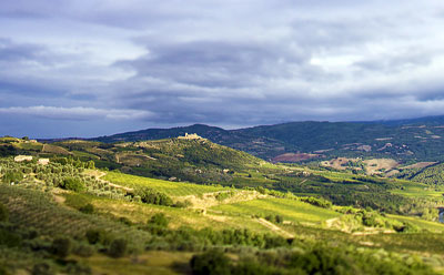 The Piccolomini estate in Tuscany