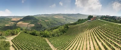 The Vineyards and Hilltop Village of Mango, Piemonte